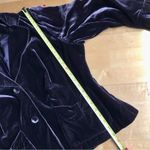 Sunny Leigh Velour Two Button Blazer, Brown, Size 18W Photo 10