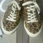 Madewell  Sidewalk Low Top Leopard Cheetah Print 
 Sneaker Shoes Photo 5