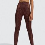 Ivy Park Adidas X Monogram Sheer Panel Tights Photo 0