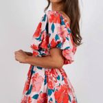 Impeccable Pig  Dress Photo 0