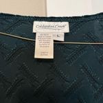 Coldwater Creek Velvet Teal Long Sleeve Dress Photo 2