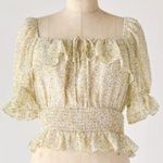 Dress Forum  size medium cropped Smocked top Photo 0