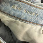 American Eagle  Blue Floral Embroidered Denim Mom Shorts Women's 6 Photo 3