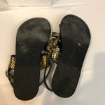 Ancient Greek Sandals Alethea Metallic Black Gold Photo 3