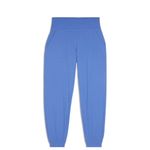 Lululemon Align HR Periwinkle Jogger size 12 NWT Tag broken Photo 4