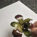 Gold Plate Encased Orchid Flower Green/Rust Color Brooch Pin Photo 5