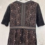 Antonio Melani  Black Lace Sleeve Dress Photo 7