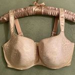 NWOT Empreinte “Melody” Molded Demi Cup Underwire Lace Bra, 42F (3D) Style #3886 Tan Size undefined Photo 5