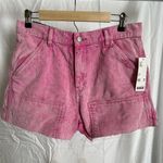 Urban Outfitters Shorts Photo 0