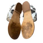 Isola Snakeskin Print Thong Sandals Silver Accent Buckle Strap Size 9M Photo 4