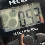 Free People Parisian Nights Top XS Red Orange Ribbed Eyelet Bell Sleeve Bohemian Photo 13