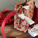 Coach Willow Bucket Bag In Signature Canvas With Heart Print BRAND NEW Photo 6