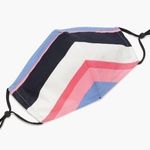 Kate Spade  Blue Pink Stripe Berber Fashion Face Mask Elastic Loops Wire Nose Photo 1