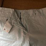 Ann Taylor Mint Green Signature Shorts Photo 2