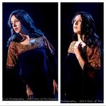 LotR Arwen cosplay elf dress Blue Photo 1