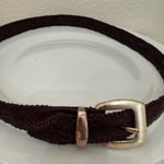 The Limited Vintage  Dark Brown Braided Belt with Gold Buckle Photo 0