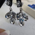 Statement Silver and Blue Floral Crystal Necklace and Earrings Set Photo 9
