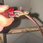 Michael Kors NWOT Python Collection Crossbody with Removable Strap Photo 3