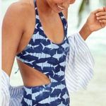 Aerie  shark cut out one piece swimsuit Photo 0