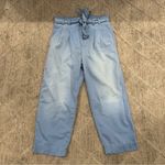 The Great The Stateman Trousers in Light Indigo Stripe 28 NWOT Photo 1