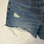 Everlane Relaxed 90's Denim Shorts in
Deep Indigo - size 24 Photo 6