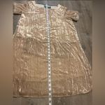 Anthropologie  Floreat Champagne Crinkle Velvet Shift Tunic Style Dress Size S Photo 2