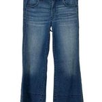 American Eagle A-Line Jeans Photo 0