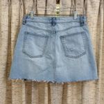 Free People We The Free by  A-Line Denim Skirt in Montauk Photo 4