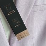 Banana Republic  Long and Lean Lilac Fully Lined Blazer W1832 Sz 00 Petite Photo 4