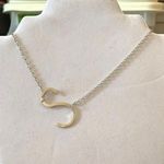 Silver S Choker Necklace Photo 0