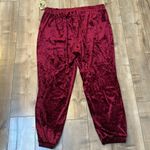 One World NWT Velvet Drawstring Waist Jogger Pants Burgundy Wine Plus Sz 2x Photo 7
