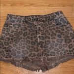 Blank Paige  Cheetah Short Photo 0