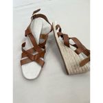 Cole Haan Sandals Size 11 B Brown Strappy Ankle Strap Buckle Open Toe Chic Photo 10