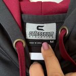 Colosseum Athletics FSU Seminoles Grey Embroidered Hoodie Photo 1