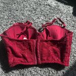 Elegant Red Lace Crop Top Photo 3