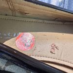 Coach ‎ Olive A2134 Beige Signature Logo Driving Loafers Women's Shoes Size 9.5 B Photo 6