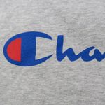 Champion Spellout Gray Cropped Hoodie Photo 3