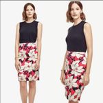 Ann Taylor Hibiscus Floral Pencil Skirt Photo 0