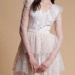 Rachel Parcell NEW Glitter Star Long Sleeve Tulle Dress Pink Parchment Photo 0