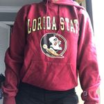 Florida State Hoodie Size XS Photo 0