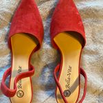 Bella Vita Suede Pumps! Photo 3