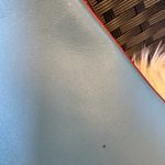 Coach 1941 NASA SPACE PATCHES RIVER BLUE LEATHER LARGE TURNLOCK 30 Photo 3