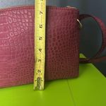 Alfani Crocodile Photo 4