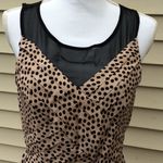 LC Lauren Conrad Lauren Conrad Sweet Confections Dress Photo 1