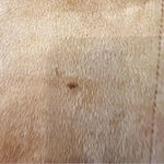 ZARA Faux Fur Ultrasuede Coat Brown Size Small Snap Front Blogger Fave Cozy Photo 10