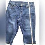 Blue Savvy  Plus Size Back Embroidered Pockets Bermuda/Capri Denim Pants Size 20W Photo 4