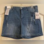 Harmony & Havoc  shorts. Size 14. Photo 0