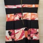 Dress Barn {6}  Colorblock Floral Dress Women's Photo 1