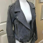 BLANK NYC Cloud Grey Suede Moto Jacket Photo 6