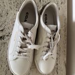 Coach NWOB Women’s Clip Low Top Leather Sneaker in Chalk/Khaki. Size 9.5B Photo 5